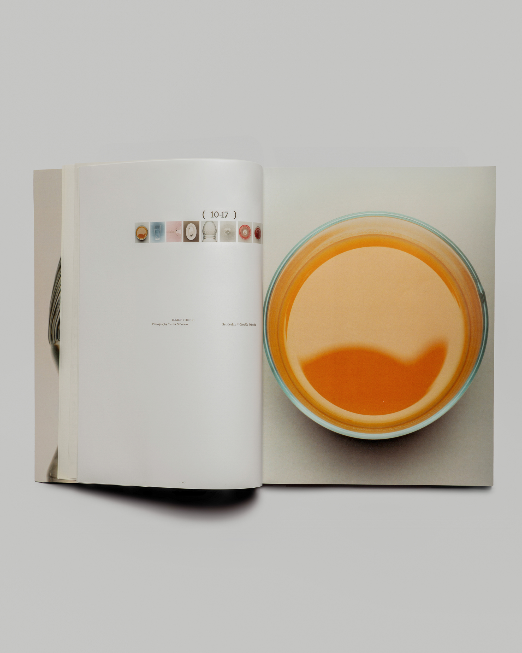 COSE Journal - Giulia Nardi
